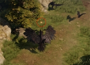 开云APP-挑战成功：弱队惊艳夺得胜利的简单介绍