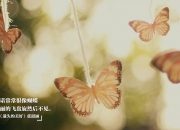 开云平台-雨季中的关键先生，金玟哉如何用亚洲智慧化解曼联的喀麦隆强压