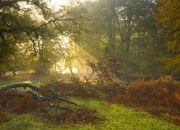 开云体育平台APP-拜仁技术流淘汰尼日利亚黑马，马丁内利压制级表现定义新王当立