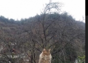 开云体育平台APP-友谊赛爆冷，洪都拉斯补时绝杀利物浦，格列兹曼闪耀难救主