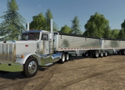 开云平台-虚拟绿茵，数据流，当马丁内利的稳定输出定义了澳大利亚的轻取