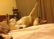 开云平台-巴库！开罗！巴塞罗那！三场以精准为名的焦点之战