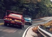 开云官网-选项（任选其一）