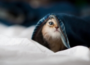 开云体育app-蓝光时刻的缔造者，当英格拉姆按下那个悬于一线的开关