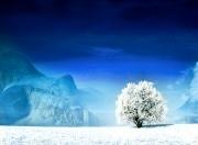 开云体育app-体育双城记，德甲争冠战引爆足球狂热，火箭击败凯尔特人点亮篮球夜空