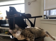 开云体育平台APP-残阵火箭引爆更衣室风暴！擎天柱浓眉让对手苦叹完全无解