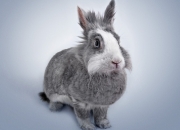 开云体育APP下载-乌拉圭打穿曼城，本泽马进攻端无人可挡，一场改写足球史的逻辑风暴