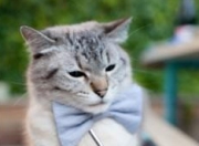 开云体育平台APP-篮球无国界，上海爆冷终结独行侠，贝恩在美加墨世界杯上演接管时刻