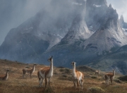 开云体育中国-末节之王！拉文关键时刻独砍15分，太阳轻取76人锁定季后赛席位