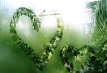 开云体育平台APP-双线制胜，体育宇宙的平行交汇