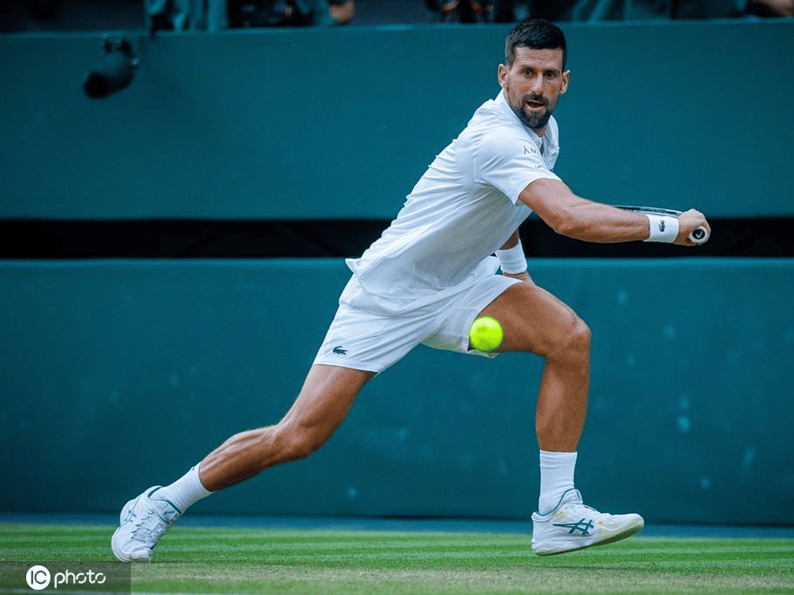 ATP总决赛逆转戴维斯杯，德约科维奇统治全场