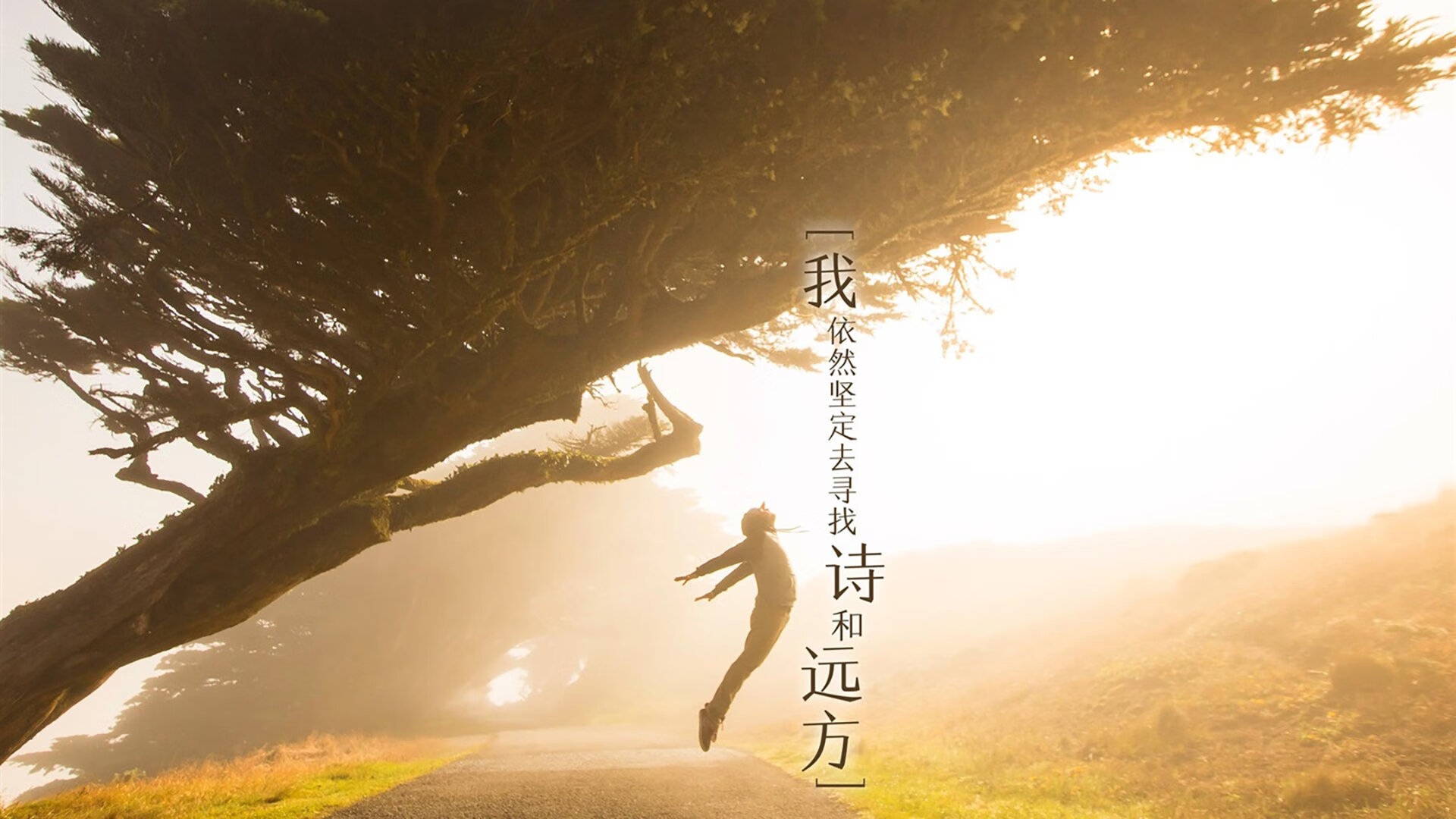 帝国军团与翼骑兵的对决，当罗马的钢铁洪流淹没波兰平原