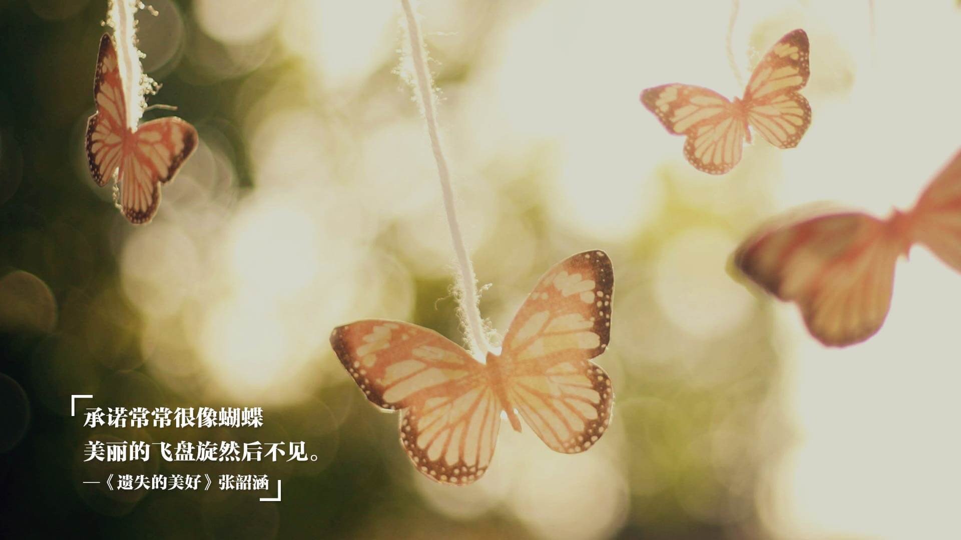 雨季中的关键先生，金玟哉如何用亚洲智慧化解曼联的喀麦隆强压