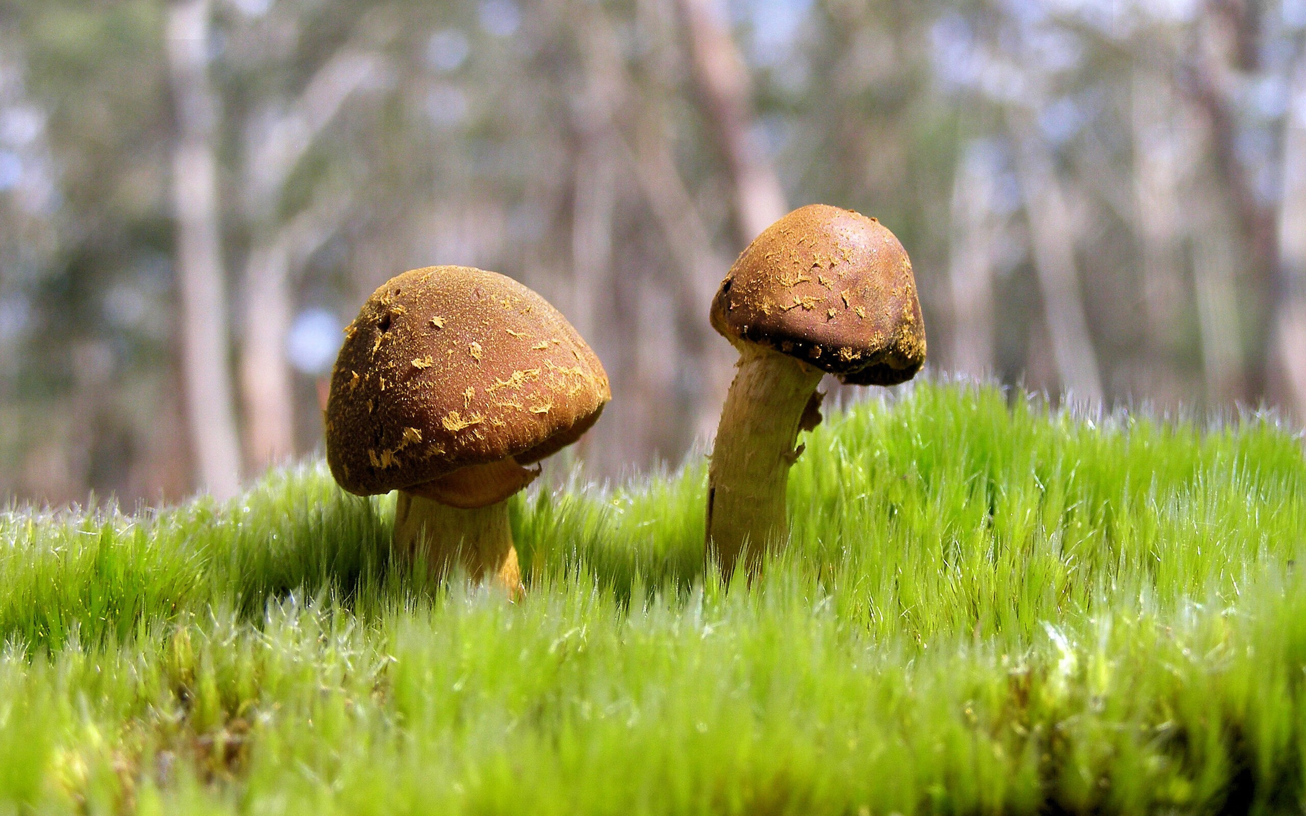 体育无时差，当快船末节潮水淹没深圳，锡安已在另一端举起世界