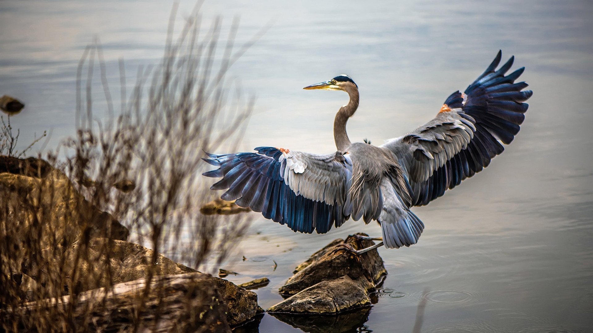 欧冠双线，巴黎闪电战击溃奥地利豪门，哈弗茨满分表演引全网热议