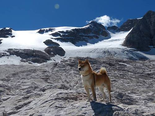 铁幕之下的唯一惊喜，当卡瓦哈尔的偶然魔法，撞碎美国的必然剧本