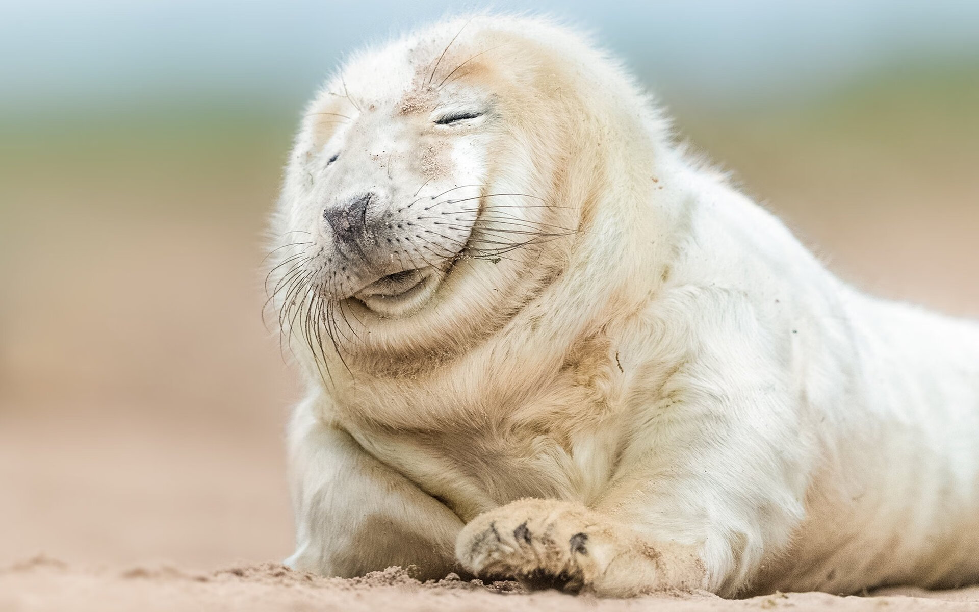 风暴湮没金箔，姆巴佩末节改写马德里叙事