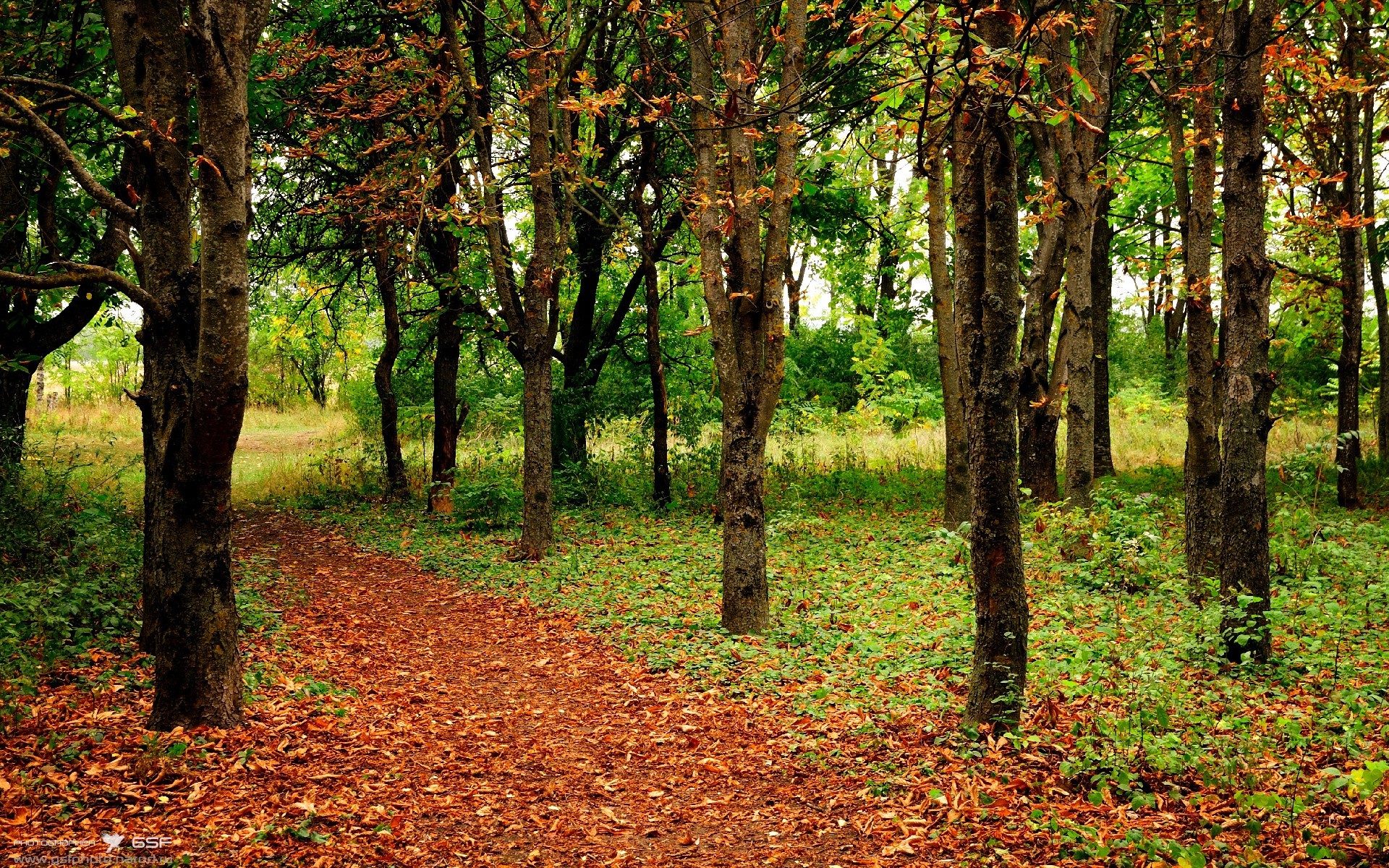 弯道与压哨，F1冠军之夜与塔图姆的超车时刻