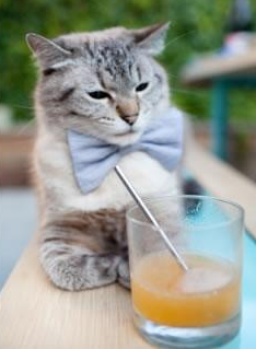 篮球无国界，上海爆冷终结独行侠，贝恩在美加墨世界杯上演接管时刻