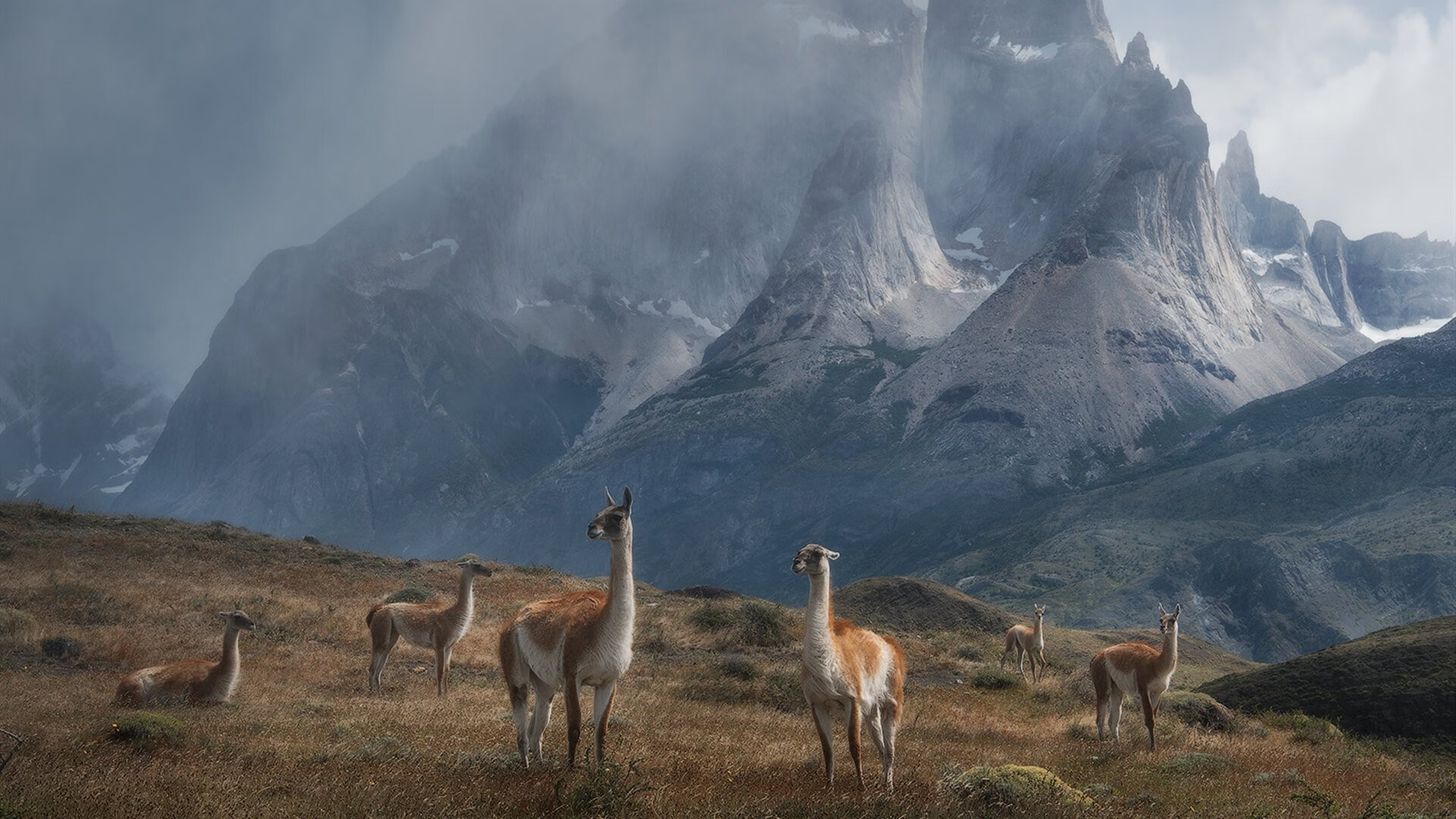 末节之王！拉文关键时刻独砍15分，太阳轻取76人锁定季后赛席位