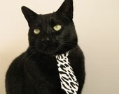 我们先来拓展思维，确定文章标题