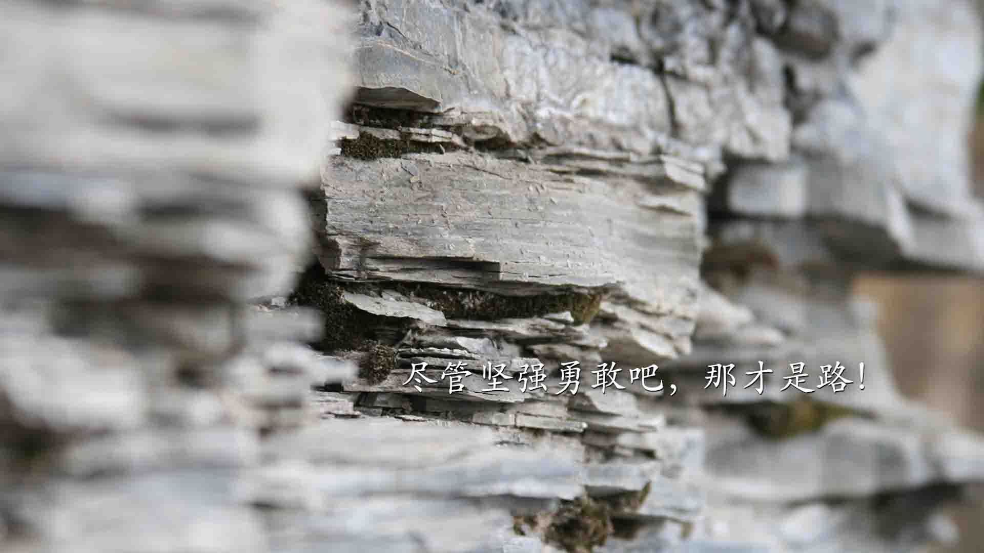 沙漠绿洲的闪电,2026世界杯C组关键战,沙特力克哥伦比亚,罗德里戈领衔攻守转换奏响南美悲歌